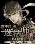 迷法师封面
