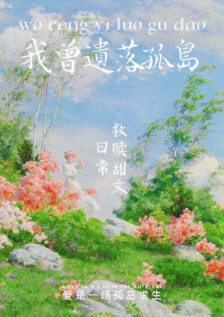 我曾遗落孤岛封面