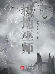 极地巫师封面