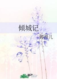 倾城记 雨柯封面