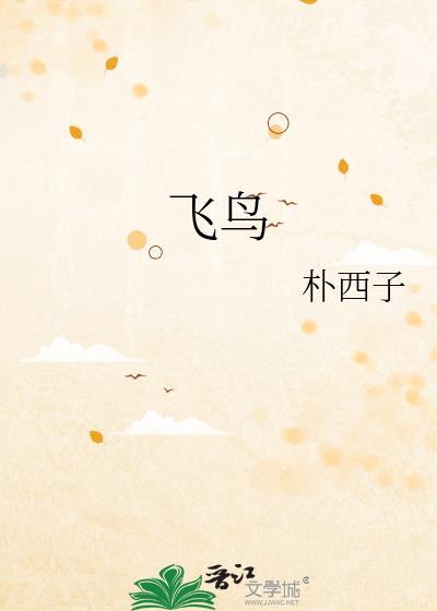飞鸟封面