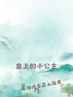 皇上的小公主(h)封面