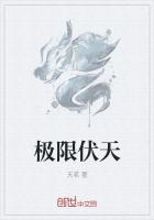 极限伏天封面