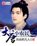 大唐小农民封面