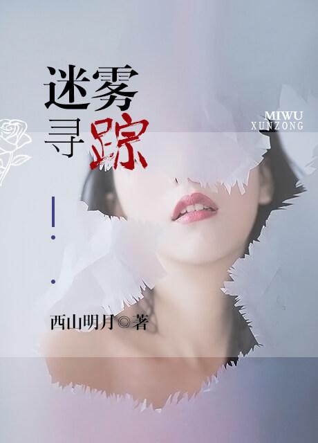 迷雾寻踪封面