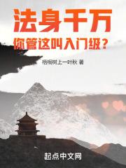 法身千万，你管这叫入门级？封面