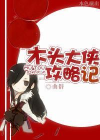 木头大侠攻略记封面