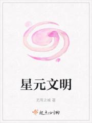 星元文明封面