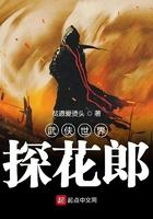 武侠世界探花郎封面