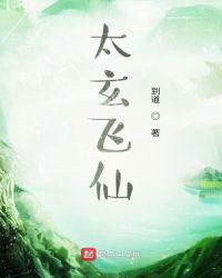 太玄飞仙封面