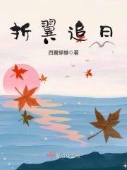折翼追日封面