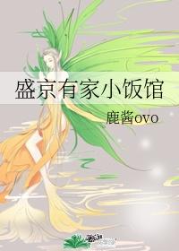 盛京有家小饭馆封面