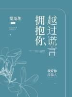 越过谎言拥抱你封面