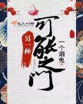 另一种可能之门封面