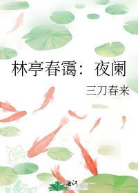林亭春霭:夜阑封面