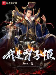 我是曹子桓封面