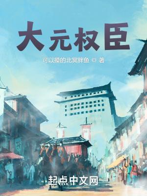 大元权臣封面