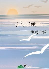 飞鸟与鱼封面