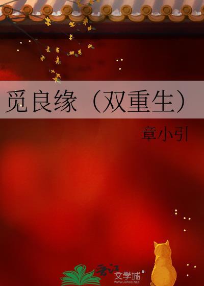 觅良缘（双重生）封面