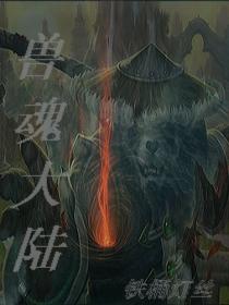 兽魂大陆封面