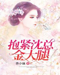 抱紧沈总金大腿封面