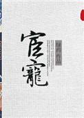 宦宠沈茴裴徊光第一次车文封面