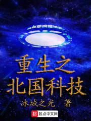 重生之北国科技封面