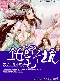 一个娘子七个坑封面
