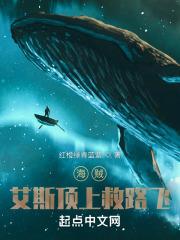 海贼：全团将皇级封面