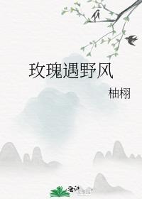 玫瑰遇野风封面