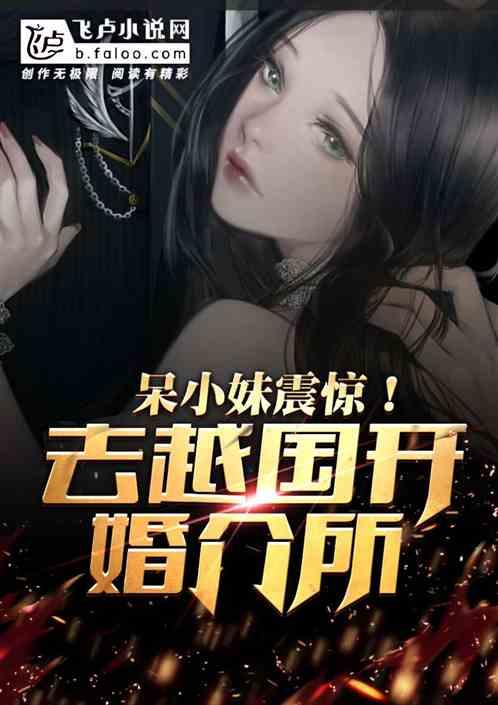 打击低配高价,我去越国开婚介所封面