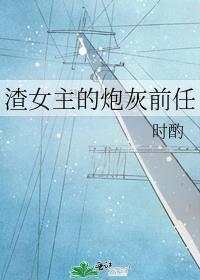 渣女主的炮灰前任封面