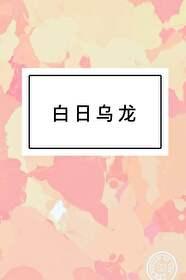 白日乌龙封面