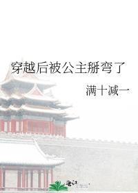 穿越后被公主掰弯了封面
