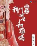 皇上，我们可以和离吗封面