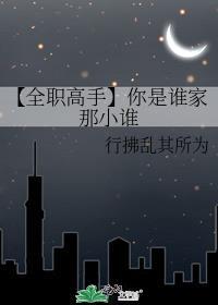 【全职高手】你是谁家那小谁封面