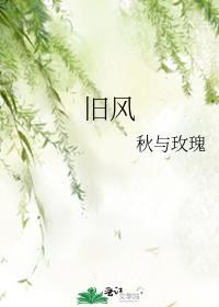 旧风封面