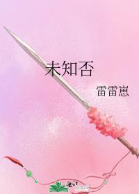 未知否封面