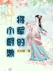 将军的小厨娘封面