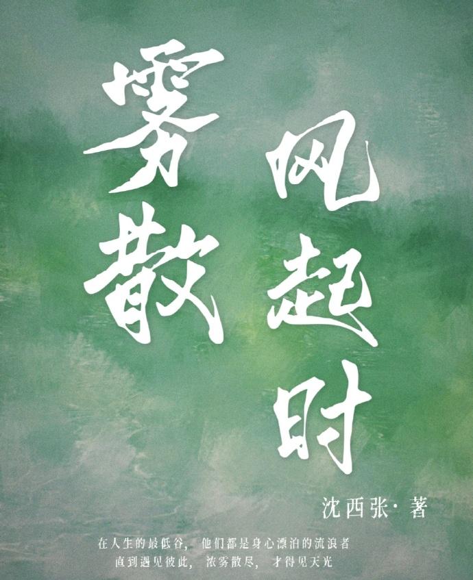 雾散风起时封面