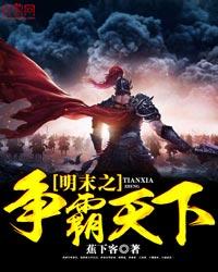 明末之争霸天下封面