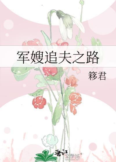 军嫂追夫之路封面