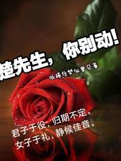楚先生，你别动！封面
