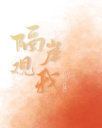 隔岸观我封面