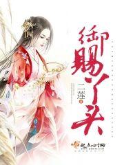 御赐丫头封面