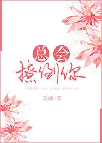 总会撩倒你封面