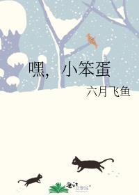 嘿,小笨蛋封面