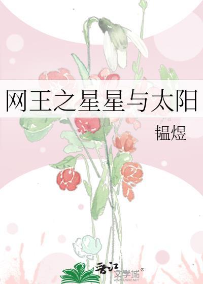 网王之星星与太阳封面