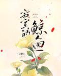 寂寞的鲸鱼封面