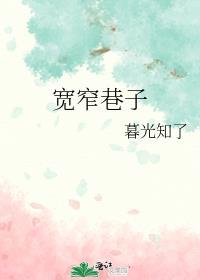 宽窄巷子封面